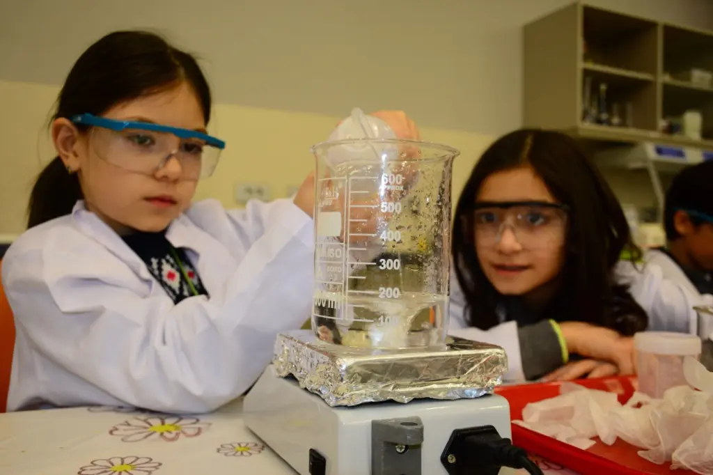 yasam-lab-1-img